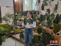 迎战“双十一”：农创客助直播电商成浙江乡村“常态”