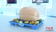 山西忻州“精准引才、高